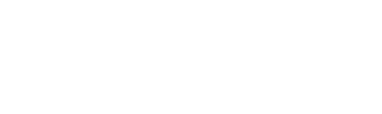 BSIC CENTRAFRIQUE